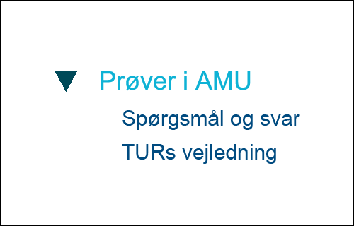 Find -svar -om -proever -i -AMU-paa -tur .dk