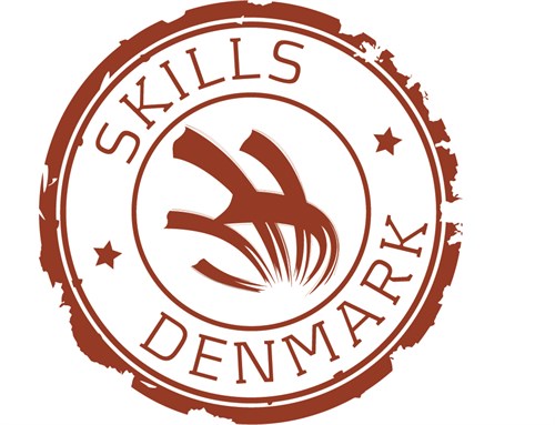 DM i Skills logo